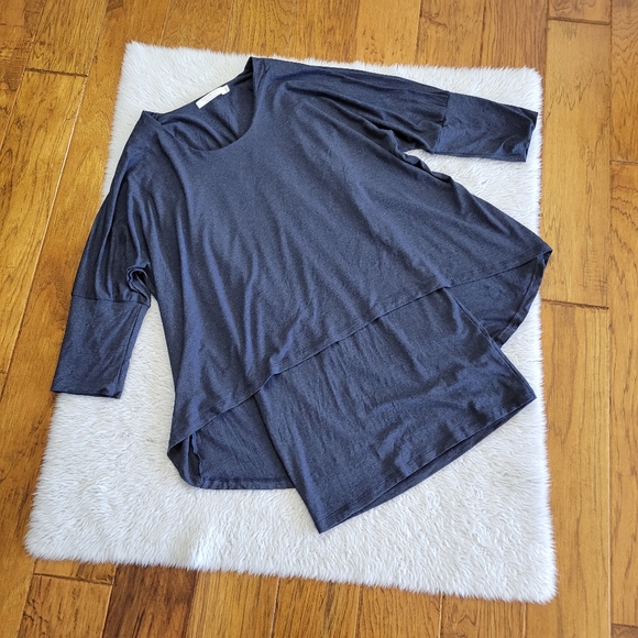 Testimony Two Layer Swing Tunic Top Shirt Women's XL Dolman Long Sleeve Blue - Picture 1 of 8